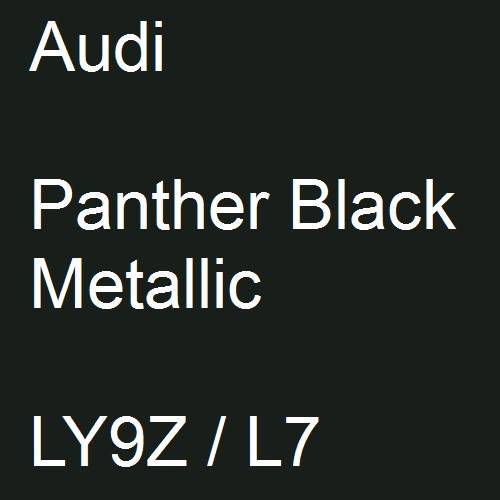 Audi, Panther Black Metallic, LY9Z / L7.